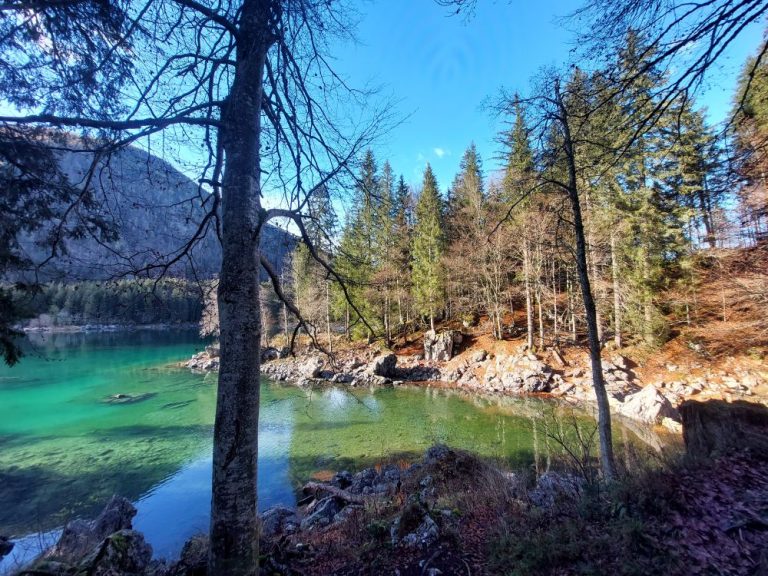 Cosa fare ai laghi di Fusine