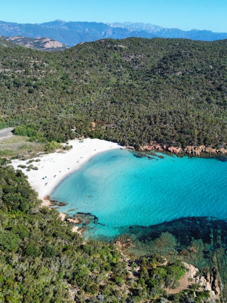 Cosa vedere in Corsica del Sud