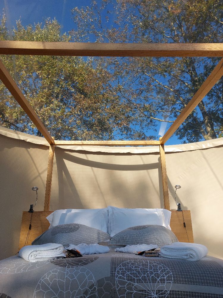 Dormire in una Bubble Suite in Emilia-Romagna