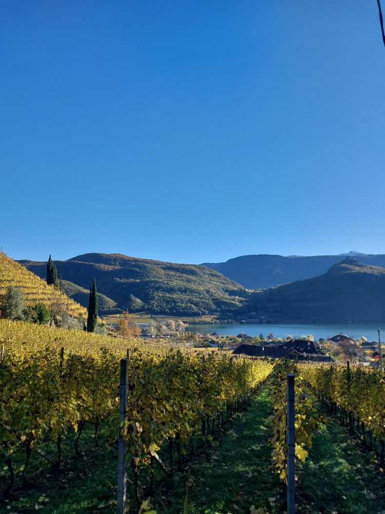 Una vacanza al Lago di Caldaro