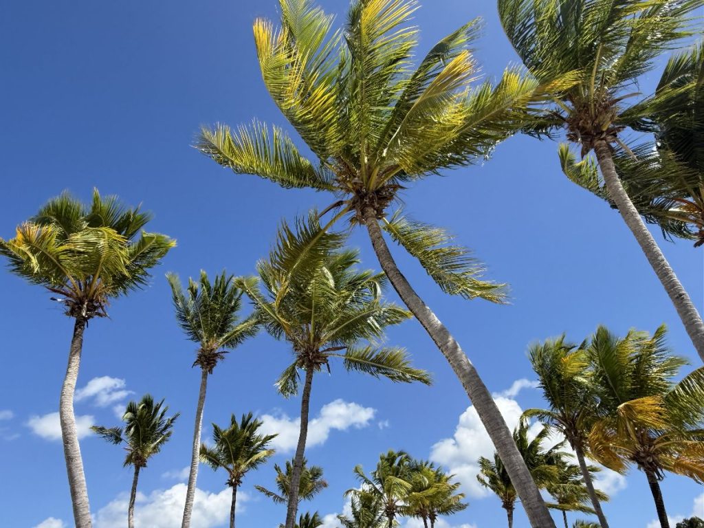 Organizzare un viaggio fai da te in Repubblica Dominicana