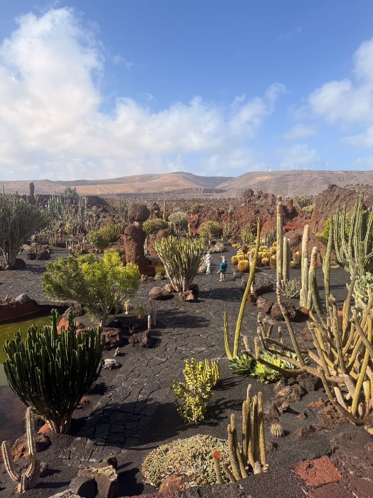 Fuga di due giorni a Lanzarote