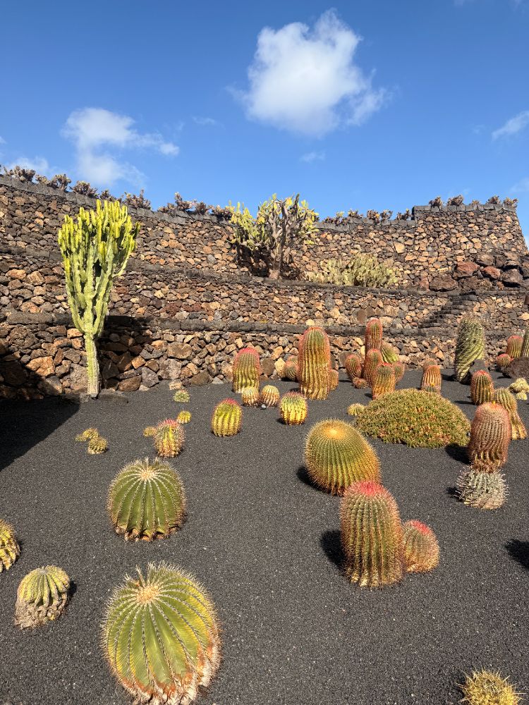 Fuga di due giorni a Lanzarote