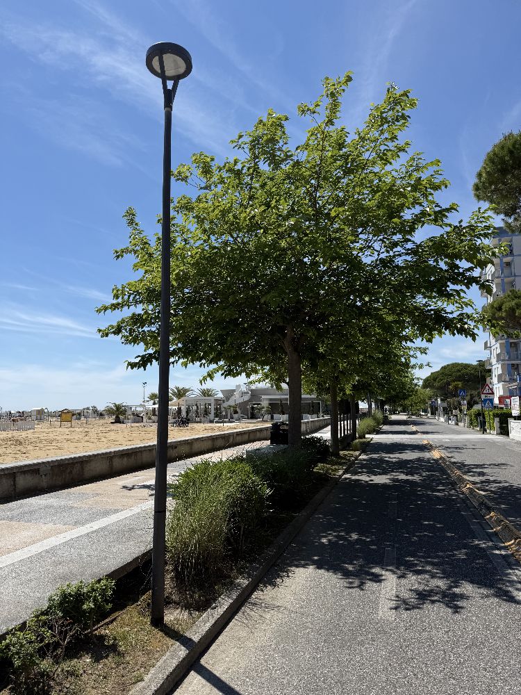 Weekend a Bibione itinerario slow tra mare ciclabili e natura