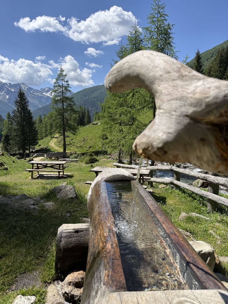 Val di Sole tra cascate ponti sospesi e castelli medievali