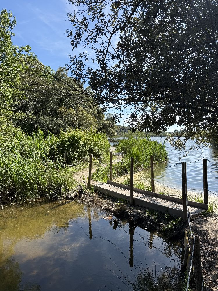 Weekend a Bibione itinerario slow tra mare ciclabili e natura