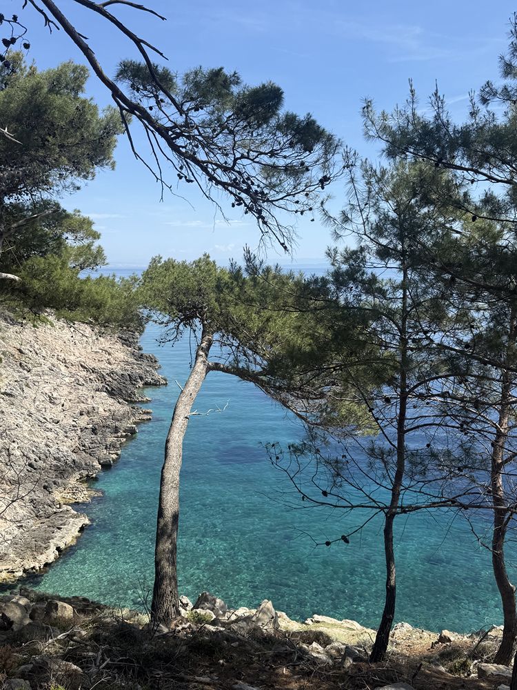 Lussino cosa vedere dove mangiare e spiagge da non perdere 