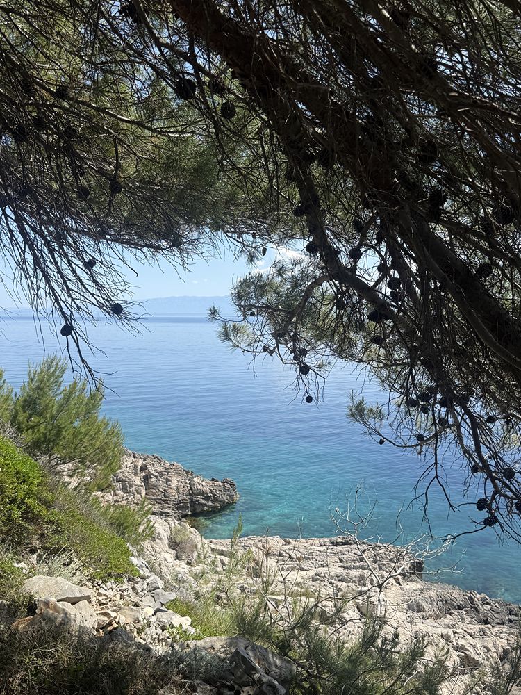 Lussino cosa vedere dove mangiare e spiagge da non perdere 
