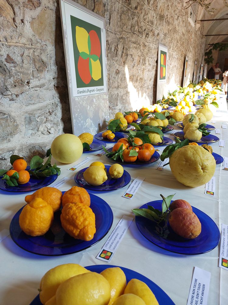 Weekend sul Lago di Garda: itinerario sulla sponda est