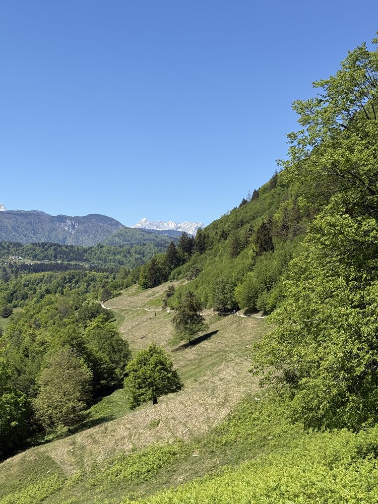 Slovenia in 3 giorni itinerario tra Gole di Tolmin Vintgar e Zelenci