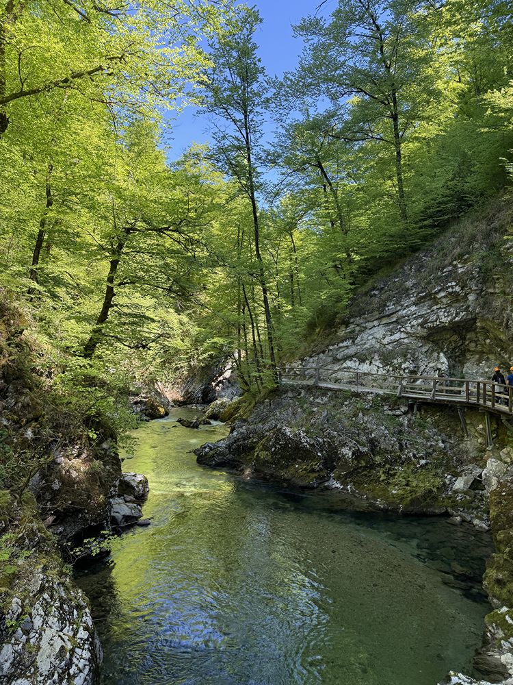 Slovenia in 3 giorni itinerario tra Gole di Tolmin Vintgar e Zelenci
