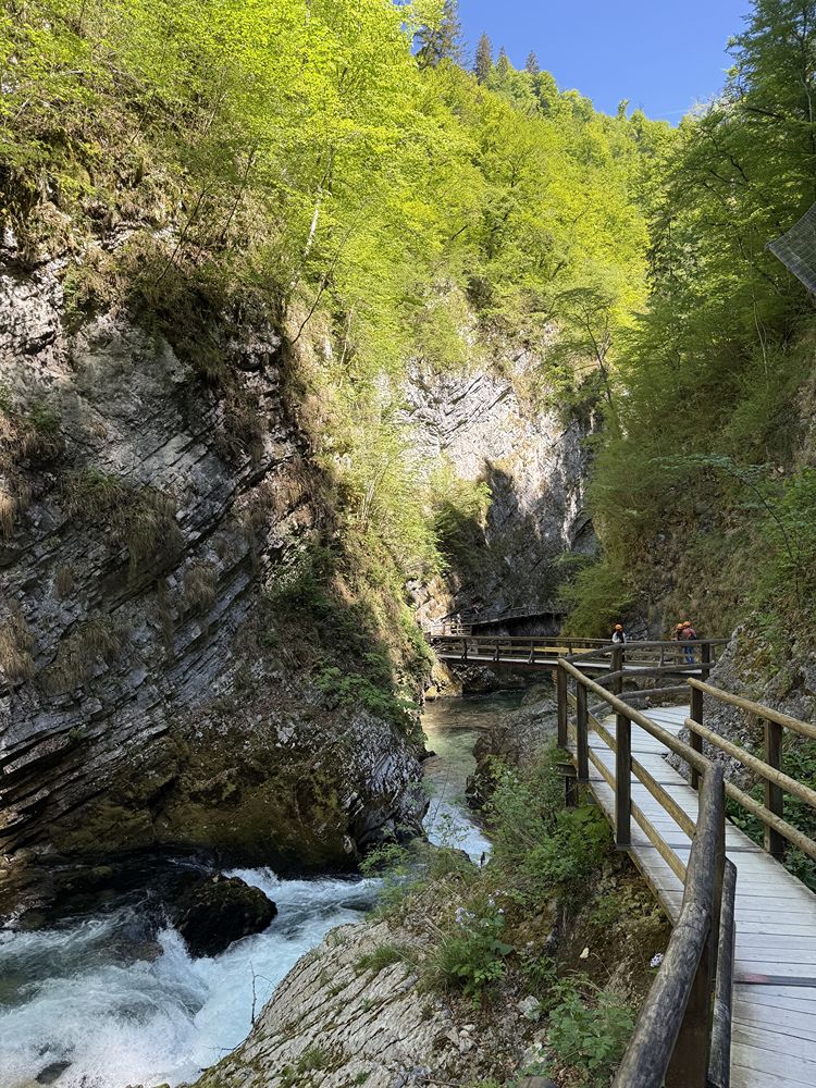 Slovenia in 3 giorni itinerario tra Gole di Tolmin Vintgar e Zelenci