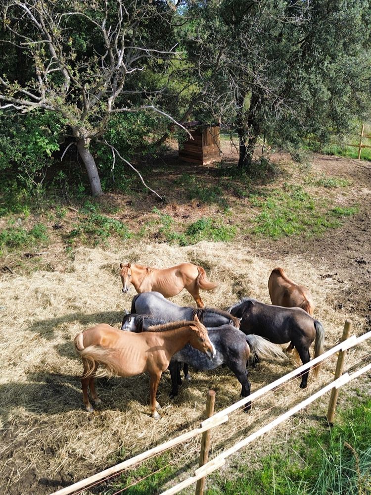 Oasi Val Grande a Bibione escursione tra natura e archeologia