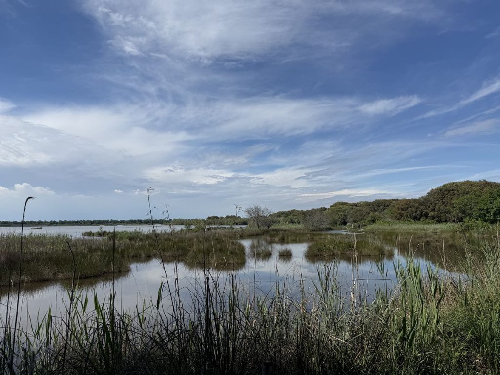 Oasi Val Grande a Bibione escursione tra natura e archeologia