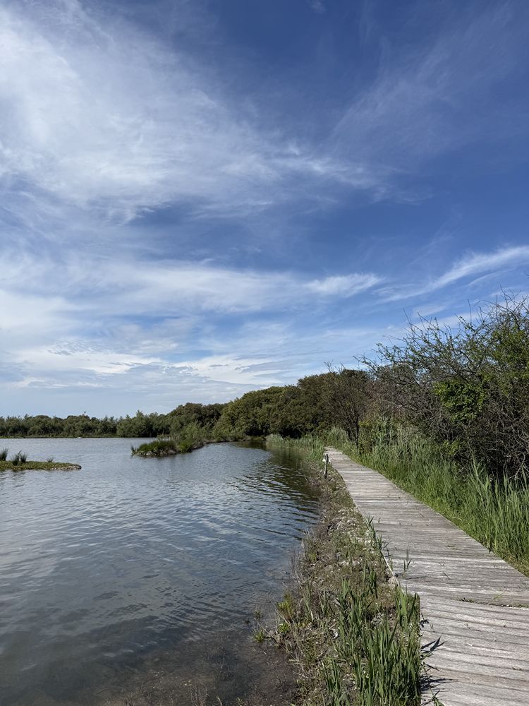 Oasi Val Grande a Bibione escursione tra natura e archeologia